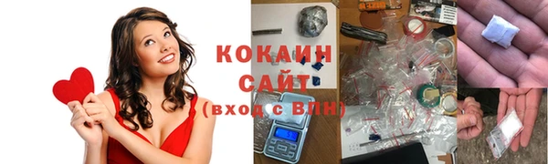ешки Новозыбков