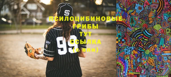 ешки Новозыбков