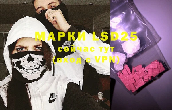 ешки Новозыбков