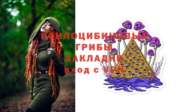 синтетический гашиш Новодвинск