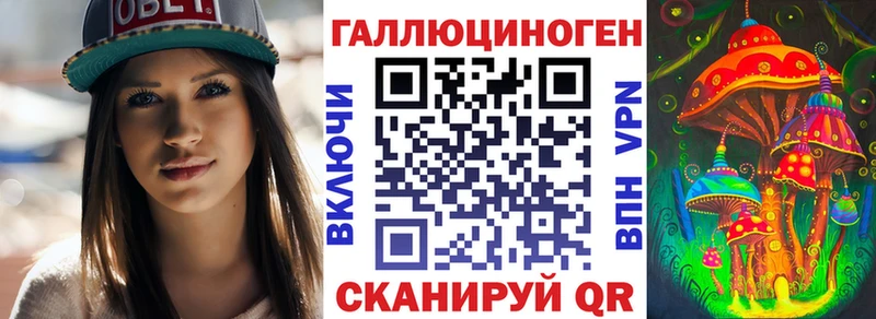 Псилоцибиновые грибы Psilocybe  Янаул 
