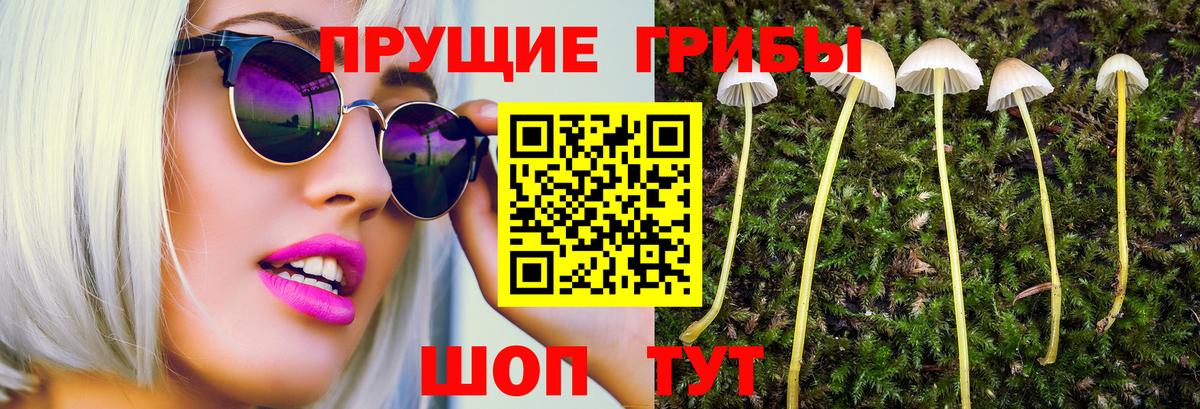 Псилоцибиновые грибы Psilocybine cubensis Янаул