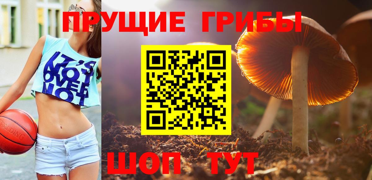Янаул  Псилоцибиновые грибы Psilocybine cubensis  закладка  Вход с VPN  Галлюциногенные грибы Psilocybe 